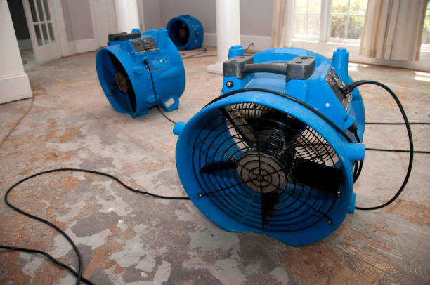 Best Residential water damage restoration  in Sterling, AK