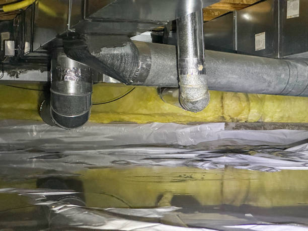 Best Carpet water damage restoration  in Sterling, AK