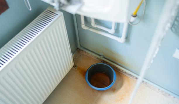 Best Local water damage restoration  in Sterling, AK