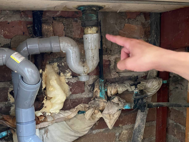 Best Flooded house restoration  in Sterling, AK